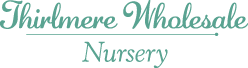 Thirlmere Wholesale Nursery